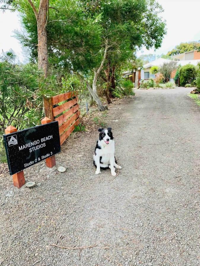 Marengo Beach Studios- Pet Friendly Extérieur photo